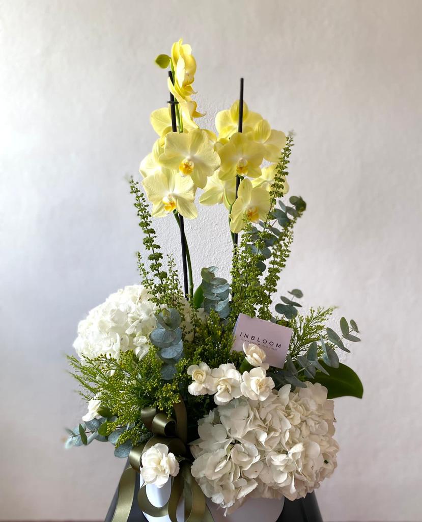 Arreglo floral con orquídeas y hortensias en caja premium — InBloom Guatemala