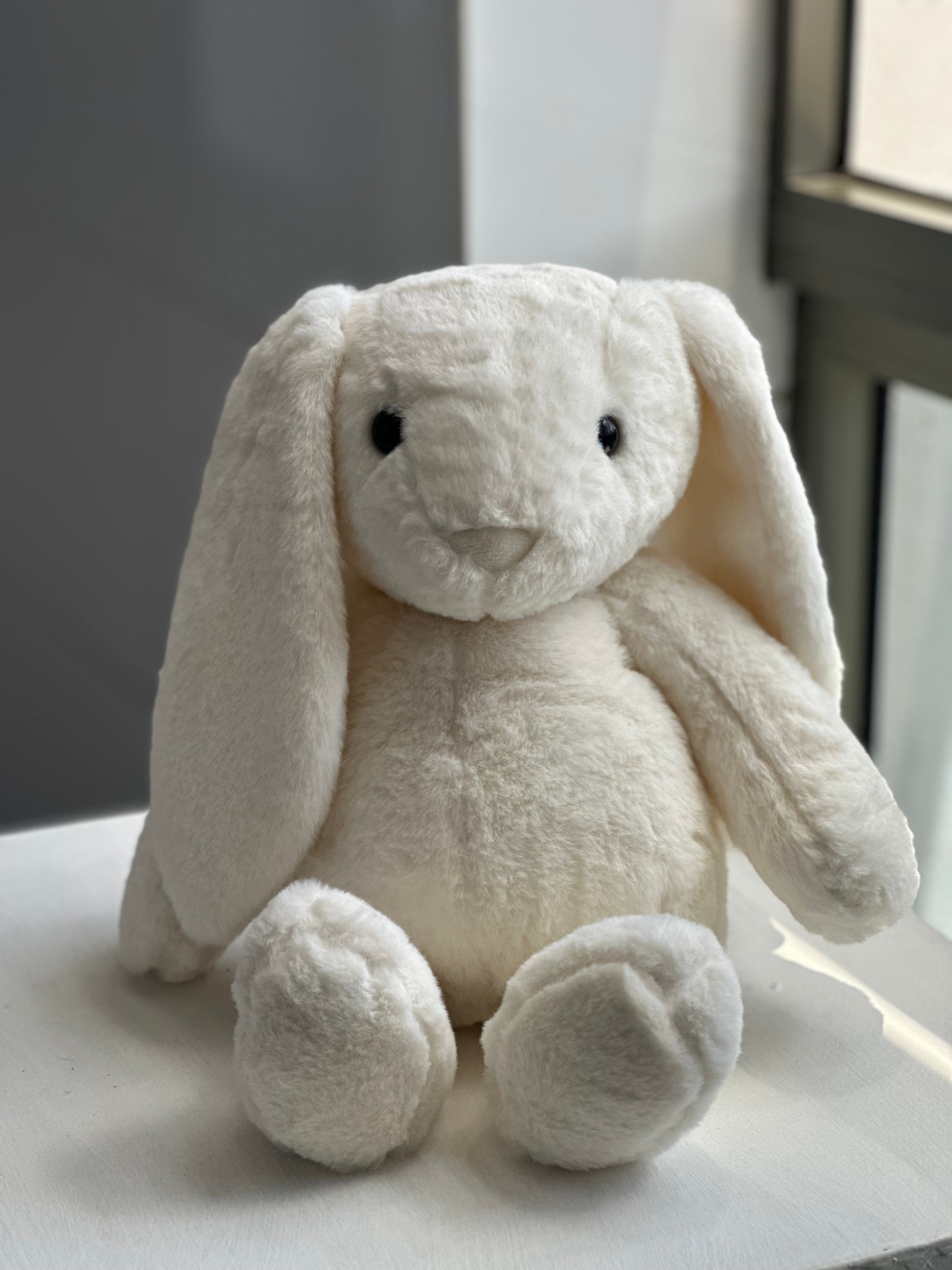 Benny the Bunny