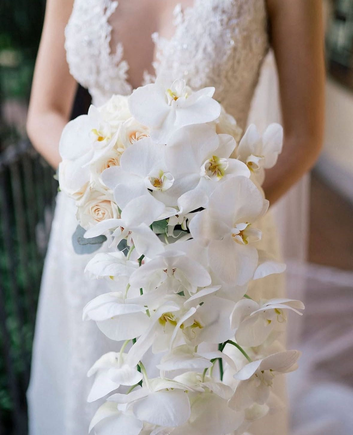 Bridal 05